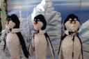 Singing penguins at Dunmail Park Workington Christmas 2018