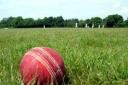 WASHOUT: This weekend's cricket