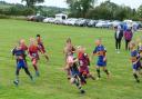 More than 250 children took part in the event organised by Broughton Red Rose