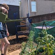 Students have been growing produce in the garden to serve in the canteen
