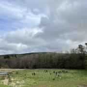 Children from the two schools helped to plant new woodland