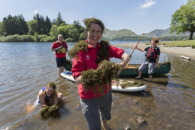 The pigmyweed at Derwentwater, with Jessie Binns in the foreground. Picture: National Trust/ Stuart Holmes