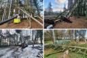 Keswick Climbing Wall & Outdoor Activity Centre took to social media to announce that it's Rookery Woods adventure play area would have to close for the rest of the year. Pictures: Keswick Climbing Wall & Outdoor Activity Centre
