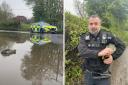 Police called to reports of a crocodile