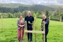TREES: Trudy Harrison, MP for Copeland (left) has planted a tree at Bassenthwaite Lake Station to commemorate the Queen's Platinum Jubilee
