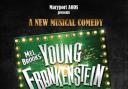 MONSTROUS: Young Frankenstein will be performed next month