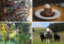 Have you tried any of these Cumbrian dishes before?