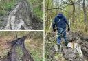 Pictures show the extent of the damage to the woods over the weekend