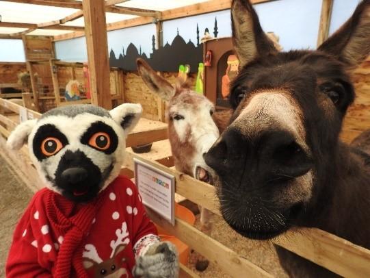 Times and Star: Fundraising for lemurs. Picture: Lake District Wildlife Park
