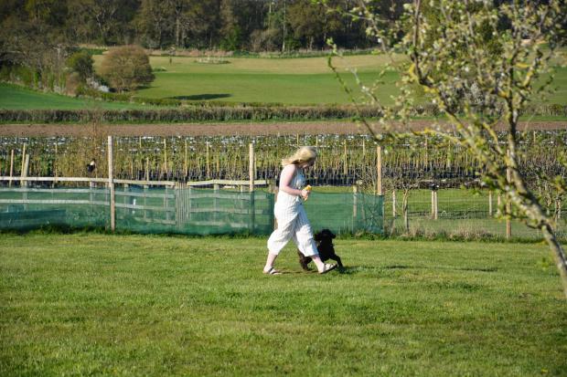 Jess Corton with Luna at the dog field at Cedarbarn Farm Shop in Pickering.