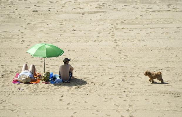 Times and Star: Surfaces such as sand can absorb a lot of heat on sunny days and burn pet’s paws. Picture: PA