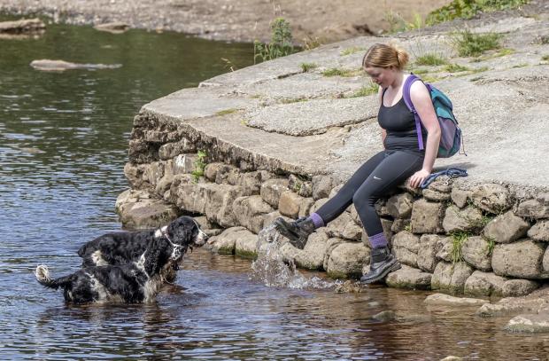 Times and Star: Gulping down too much water can be dangerous - keep an eye on dogs if playing water and move on when they’ve had their fill. Picture: PA