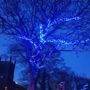 Netherhall and Memorial Gardens lights