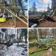Keswick Climbing Wall & Outdoor Activity Centre took to social media to announce that it's Rookery Woods adventure play area would have to close for the rest of the year. Pictures: Keswick Climbing Wall & Outdoor Activity Centre