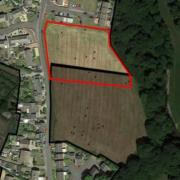 A small residential development has been planned for the village of Bridgefoot