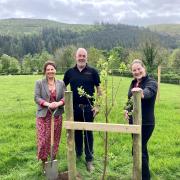 TREES: Trudy Harrison, MP for Copeland (left) has planted a tree at Bassenthwaite Lake Station to commemorate the Queen's Platinum Jubilee