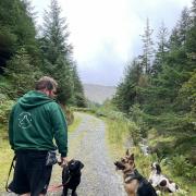 Phil Johnston out on a walk with the dogs