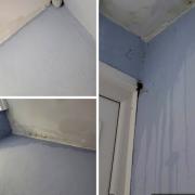 Water streaking down newly painted walls and mould growing in the corner
