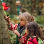 Wildlife Watch is launching in Cockermouth and hopes to recruit lots of young nature detectives