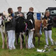 Competitors line up as their livestock is judged at the show in 2022
