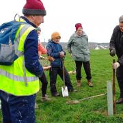Cockermouth CAN chair Nick Robson shows other members of the group how best to plant a tree