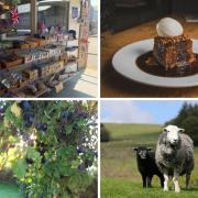 Have you tried any of these Cumbrian dishes before?